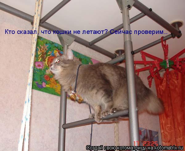 Кто сказал, что кошки не летают? Сейчас проверим.. Кто сказал, что кошки не летают? Сейчас проверим..... Котоматрица: Кто сказал, что кошки не летают? Сейчас проверим.. Кто сказал, что кошки не летают? Сейчас проверим..