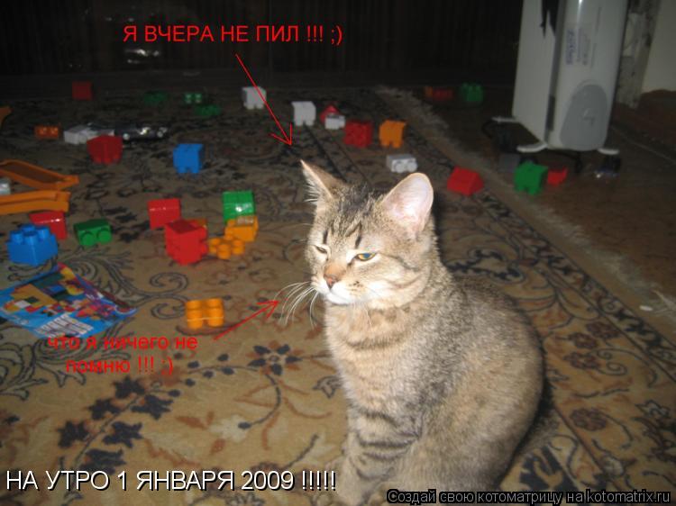 НА УТРО 1 ЯНВАРЯ 2009 !!!!!... Котоматрица: НА УТРО 1 ЯНВАРЯ 2009 !!!!!