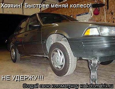 Хозяин! Быстрее меняй колесо! НЕ УДЕРЖУ!!!... Котоматрица: Хозяин! Быстрее меняй колесо! НЕ УДЕРЖУ!!!