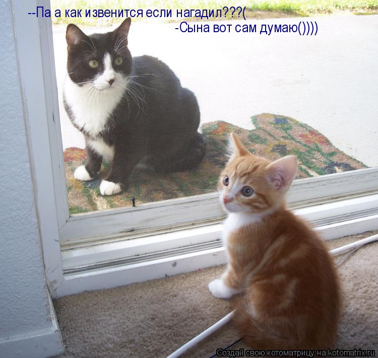 --Па а как извенится если нагадил???( -Сына вот сам думаю())))... Котоматрица: --Па а как извенится если нагадил???( -Сына вот сам думаю())))