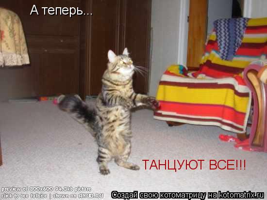 А теперь... ТАНЦУЮТ ВСЕ!!!... Котоматрица: А теперь... ТАНЦУЮТ ВСЕ!!!