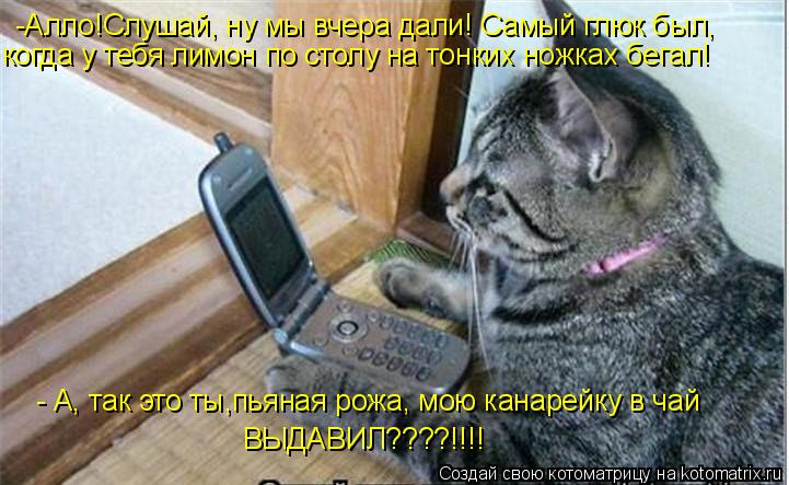 -Алло!Слушай, ну мы вчера дали! Самый глюк был, когда у тебя лимон по столу на тонких ножках бегал! ... Котоматрица: -Алло!Слушай, ну мы вчера дали! Самый глюк был, когда у тебя лимон по столу на тонких ножках бегал! - А, так это ты,пьяная рожа, мою канарейку в
