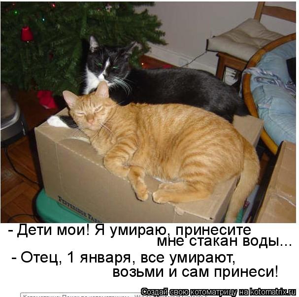 - Дети мои! Я умираю, принесите мне стакан воды... - Отец, 1 января, все умирают, возьми и сам принес... Котоматрица: - Дети мои! Я умираю, принесите мне стакан воды... - Отец, 1 января, все умирают, возьми и сам принеси!