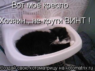 Вот моё кресло Хозяин , не крути ВИНТ !... Котоматрица: Вот моё кресло Хозяин , не крути ВИНТ !