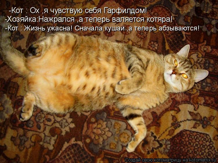 -Кот : Ох ,я чувствую себя Гарфилдом! -Хозяйка:Нажрался ,а теперь валяется котяра! -Кот : Жизнь ужас... Котоматрица: -Кот : Ох ,я чувствую себя Гарфилдом! -Хозяйка:Нажрался ,а теперь валяется котяра! -Кот : Жизнь ужасна! Сначала кушай ,а теперь абзываются!