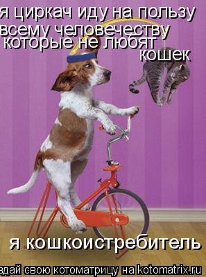 Котоматрица: я циркач иду на пользу всему человечеству которые не любят  кошек я кошкоистребитель