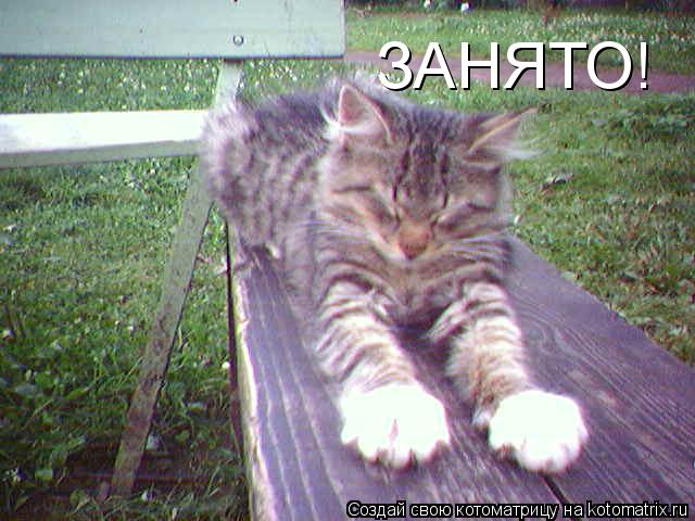 Котоматрица: ЗАНЯТО!