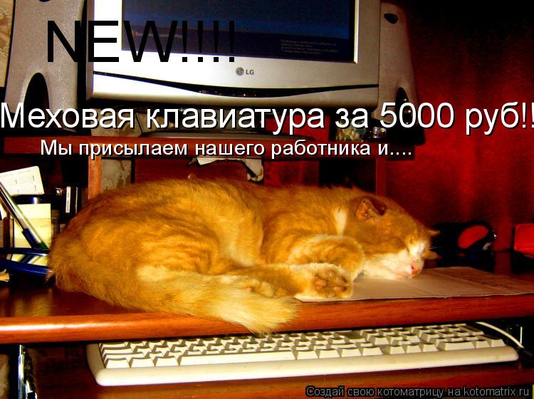 NEW!!!! Меховая клавиатура за 5000 руб!!! Мы присылаем нашего работника и....... Котоматрица: NEW!!!! Меховая клавиатура за 5000 руб!!! Мы присылаем нашего работника и....