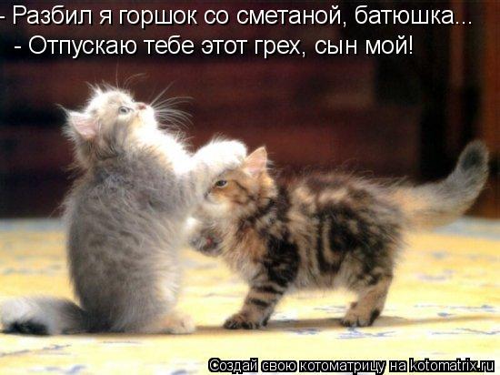 - Разбил я горшок со сметаной, батюшка... - Отпускаю тебе этот грех, сын мой!... Котоматрица: - Разбил я горшок со сметаной, батюшка... - Отпускаю тебе этот грех, сын мой!