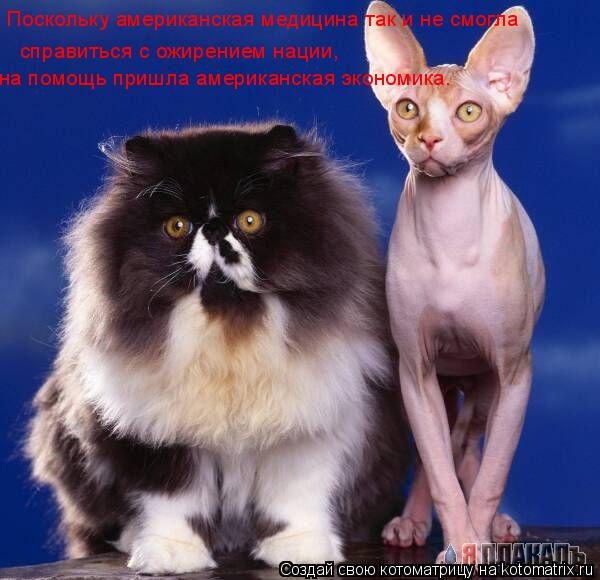 Котоматрица: Поскольку американская медицина так и не смогла справиться с ожирением нации, на помощь пришла американская экономика.