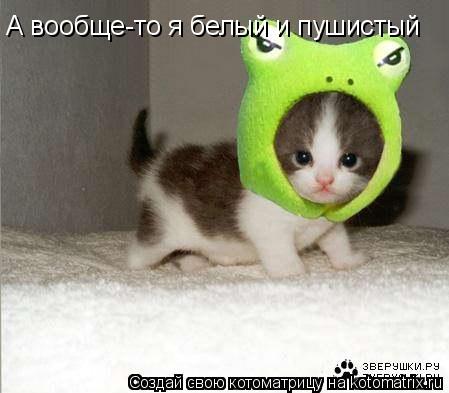 А вообще-то я белый и пушистый... Котоматрица: А вообще-то я белый и пушистый