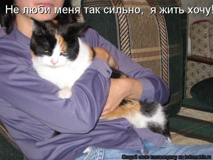 Не люби меня так сильно, я жить хочу! Не люби меня так сильно, я жить хочу! Не люби меня так сильно... Котоматрица: Не люби меня так сильно, я жить хочу! Не люби меня так сильно, я жить хочу! Не люби меня так сильно, я жить хочу!