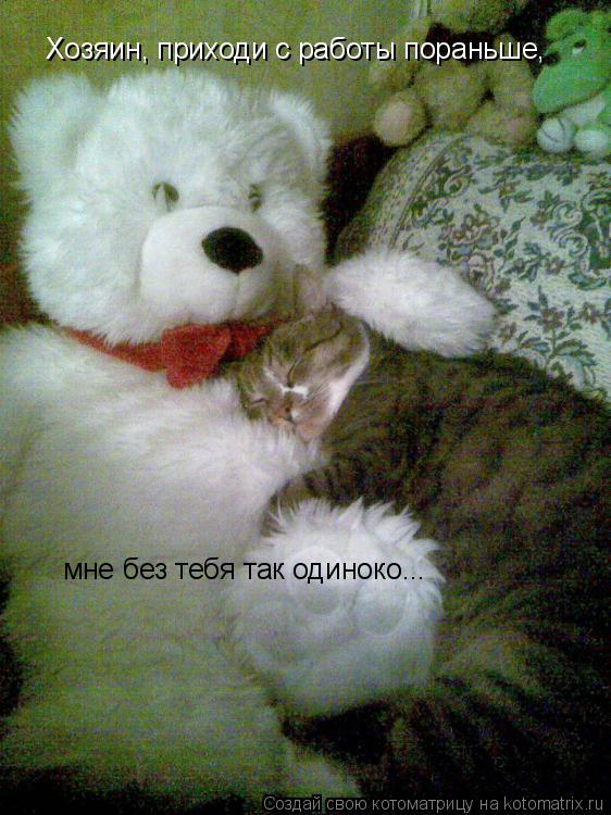 Хозяин, приходи с работы пораньше, мне без тебя так одиноко...... Котоматрица: Хозяин, приходи с работы пораньше, мне без тебя так одиноко...