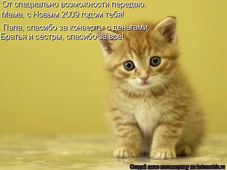 Котоматрица: От специально возможности передаю, Мама, с Новым 2009 годом тебя!  Папа, спасибо за конверты с деньгами, Братья и сёстры, спасибо за всё!