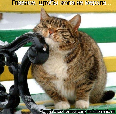 Главное, щтобы жопа не мерзла...... Котоматрица: Главное, щтобы жопа не мерзла...