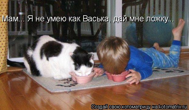 Мам... Я не умею как Васька, дай мне ложку...... Котоматрица: Мам... Я не умею как Васька, дай мне ложку...