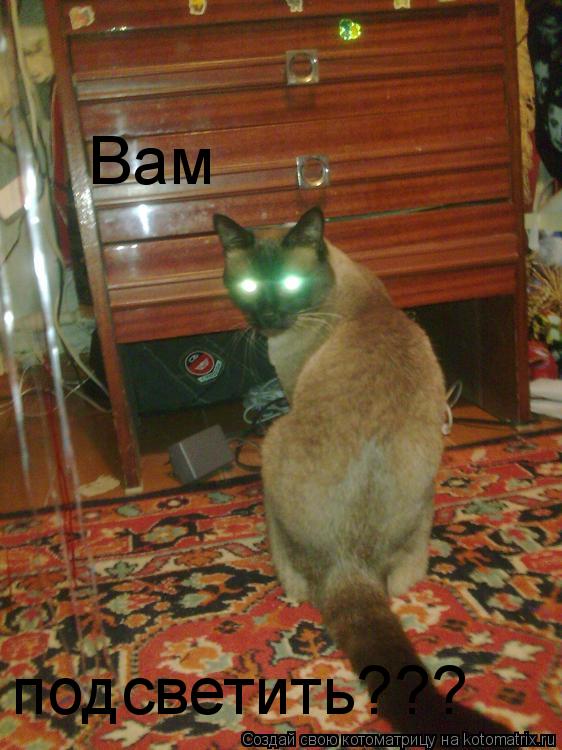 Котоматрица: Вам  подсветить???