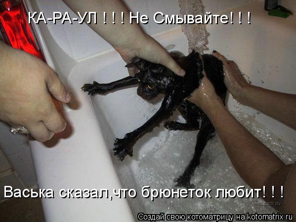 КА-РА-УЛ ! ! ! Не Смывайте! ! ! Васька сказал,что брюнеток любит! ! !... Котоматрица: КА-РА-УЛ ! ! ! Не Смывайте! ! ! Васька сказал,что брюнеток любит! ! !
