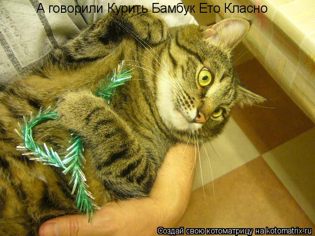 А говорили Курить Бамбук Ето Класно... Котоматрица: А говорили Курить Бамбук Ето Класно