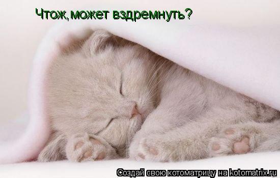 Котоматрица: Чтож,может вздремнуть?