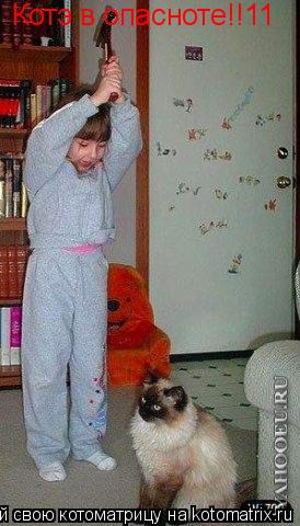 Котэ в опасноте!!11... Котоматрица: Котэ в опасноте!!11