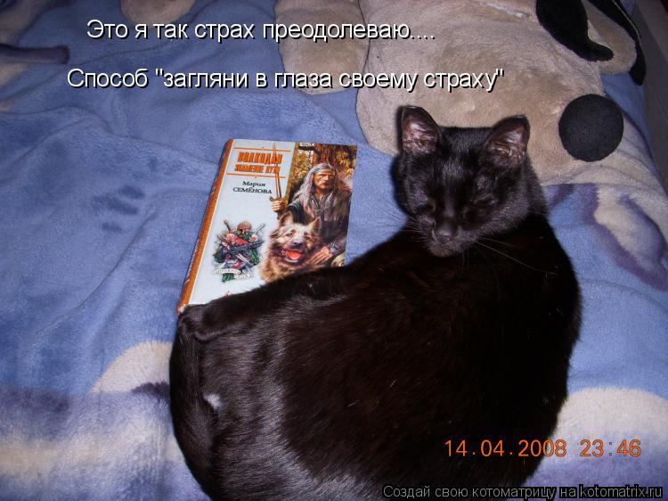 Это я так страх преодолеваю.... Способ "загляни в глаза своему страху"... Котоматрица: Это я так страх преодолеваю.... Способ "загляни в глаза своему страху"