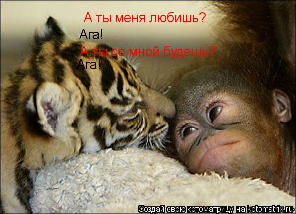 Котоматрица: А ты меня любишь? Ага! А ты со мной будешь? Ага!