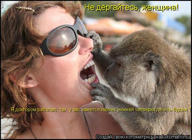 Котоматрица: Не дёргайтесь, женщина! Я доктором работаю, так, у вас кажется кариес нижней четверки,лечить будем ?