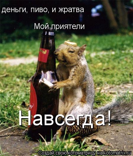 Котоматрица: деньги, пиво, и жратва Мой приятели  Навсегда!