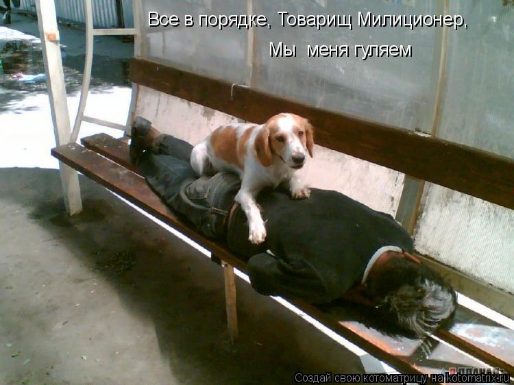Все в порядке, Товарищ Милиционер, Мы меня гуляем... Котоматрица: Все в порядке, Товарищ Милиционер, Мы меня гуляем