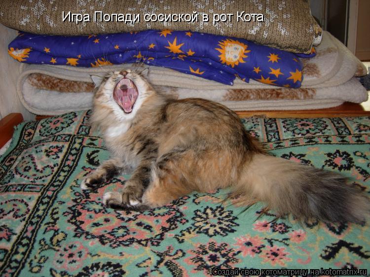 Игра Попади сосиской в рот Кота... Котоматрица: Игра Попади сосиской в рот Кота