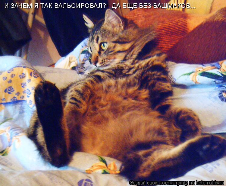 И ЗАЧЕМ Я ТАК ВАЛЬСИРОВАЛ?! ДА ЕЩЕ БЕЗ БАШМАКОВ...... Котоматрица: И ЗАЧЕМ Я ТАК ВАЛЬСИРОВАЛ?! ДА ЕЩЕ БЕЗ БАШМАКОВ...