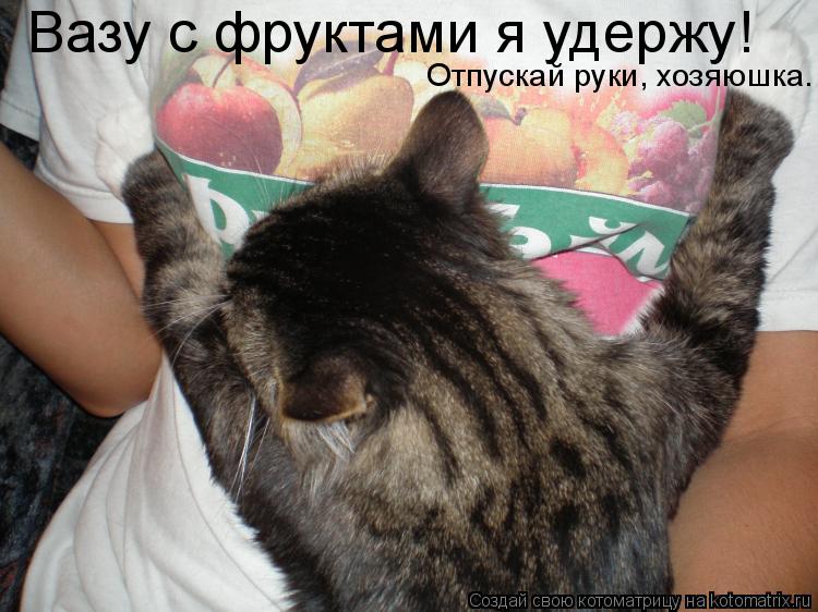 Вазу с фруктами я удержу! Отпускай руки, хозяюшка.... Котоматрица: Вазу с фруктами я удержу! Отпускай руки, хозяюшка.