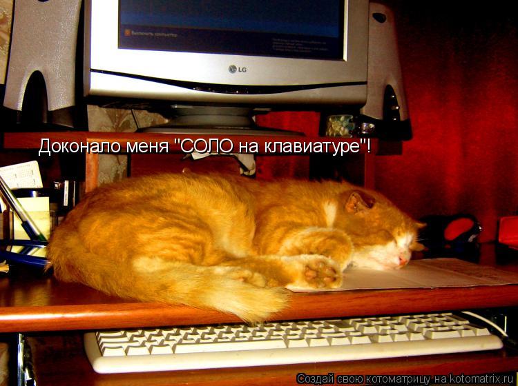 Доконало меня "СОЛО на клавиатуре"!... Котоматрица: Доконало меня "СОЛО на клавиатуре"!