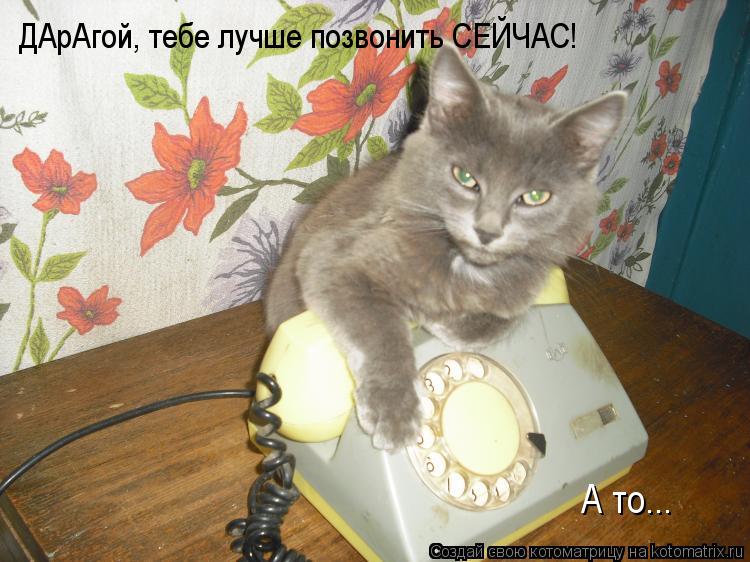 ДАрАгой, тебе лучше позвонить СЕЙЧАС! А то...... Котоматрица: ДАрАгой, тебе лучше позвонить СЕЙЧАС! А то...