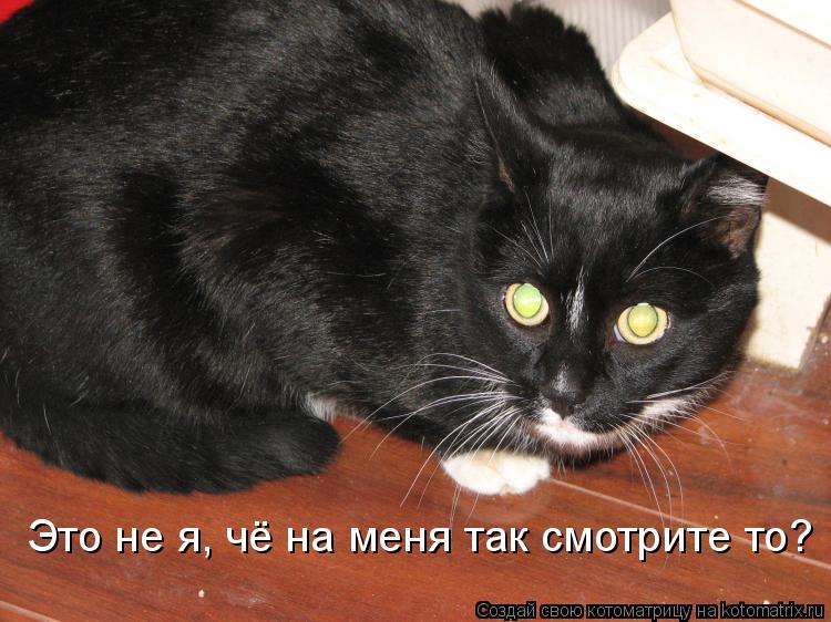 Котоматрица: Это не я, чё на меня так смотрите то?
