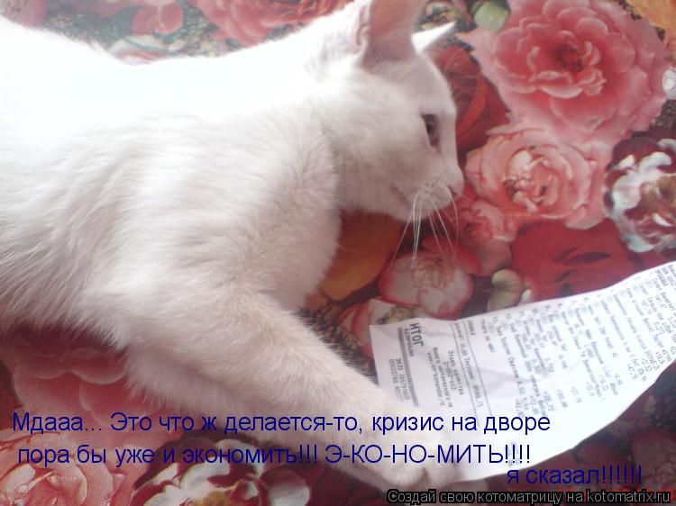 Мдааа... Это что ж делается-то, кризис на дворе пора бы уже и экономить!!! Э-КО-НО-МИТЬ!!!! я сказал... Котоматрица: Мдааа... Это что ж делается-то, кризис на дворе пора бы уже и экономить!!! Э-КО-НО-МИТЬ!!!! я сказал!!!!!!