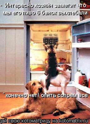 Интересно хозяйн заметит что мы его пиво 6 банок выхлебали - - конечно нет! опять сопрем все... Котоматрица: Интересно хозяйн заметит что мы его пиво 6 банок выхлебали - - конечно нет! опять сопрем все