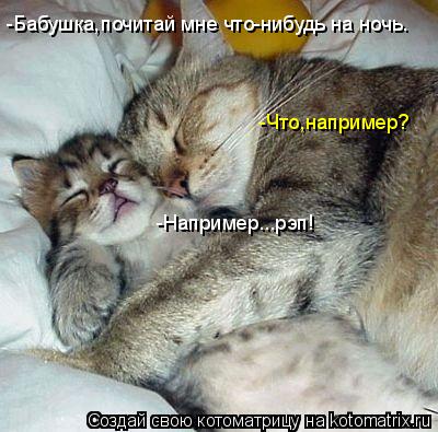Котоматрица: -Бабушка,почитай мне что-нибудь на ночь. -Что,например? -Например...рэп!