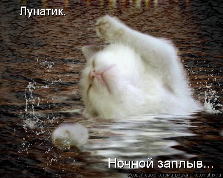 Лунатик. Ночной заплыв...... Котоматрица: Лунатик. Ночной заплыв...