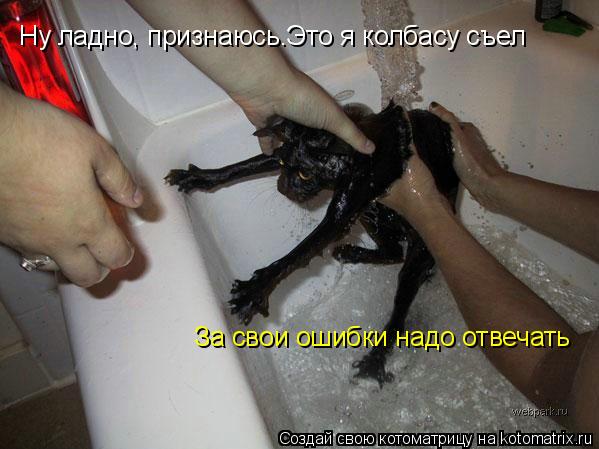 Ну ладно, признаюсь.Это я колбасу съел За свои ошибки надо отвечать... Котоматрица: Ну ладно, признаюсь.Это я колбасу съел За свои ошибки надо отвечать