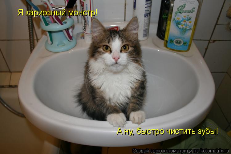 Я кариозный монстр! А ну, быстро чистить зубы!... Котоматрица: Я кариозный монстр! А ну, быстро чистить зубы!