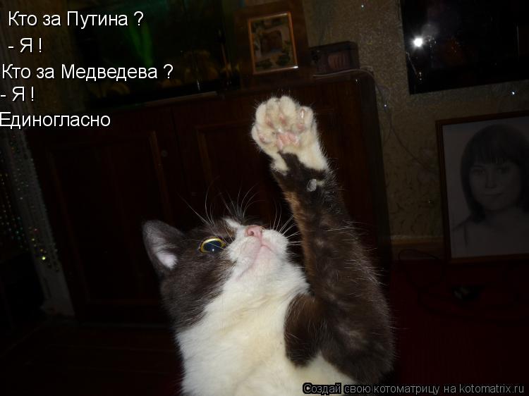 Кто за Путина ? - Я ! Кто за Медведева ? - Я ! Единогласно... Котоматрица: Кто за Путина ? - Я ! Кто за Медведева ? - Я ! Единогласно