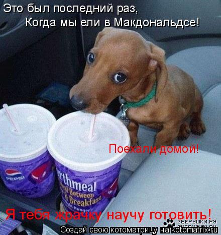 Поехали домой! Я тебя жрачку научу готовить! Это был последний раз, Когда мы ели в Макдональдсе!... Котоматрица: Поехали домой! Я тебя жрачку научу готовить! Это был последний раз, Когда мы ели в Макдональдсе!
