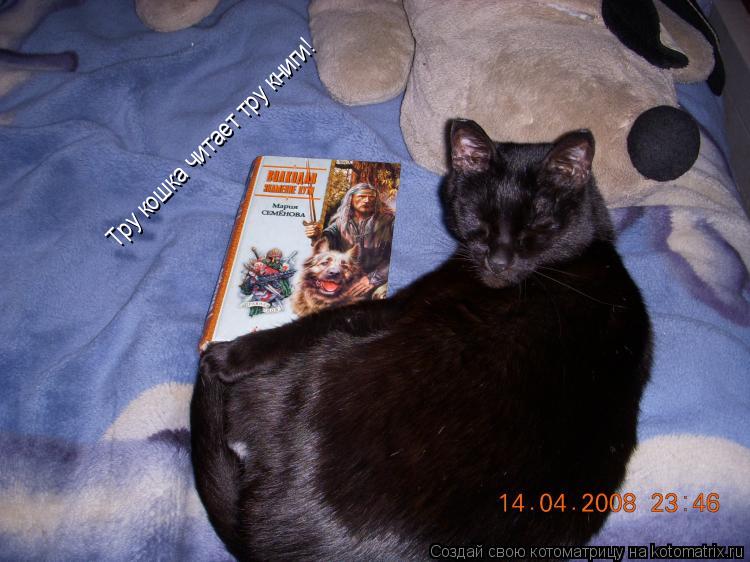 Тру кошка читает тру книги!... Котоматрица: Тру кошка читает тру книги!