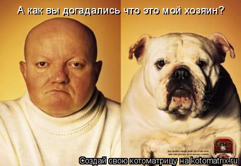 Котоматрица: А как вы догадались что это мой хозяин?
