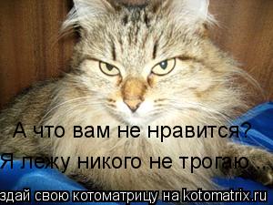 Котоматрица: А что вам не нравится? Я лежу никого не трогаю...
