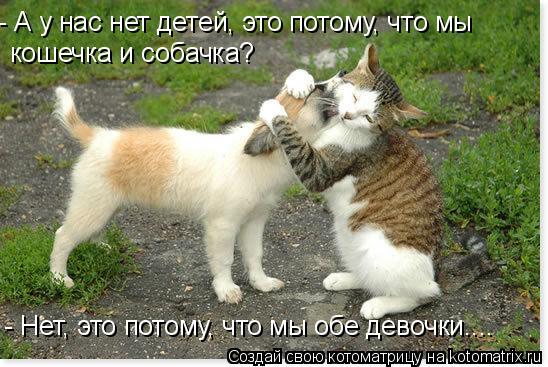 - А у нас нет детей, это потому, что мы кошечка и собачка? - Нет, это потому, что мы обе девочки...... Котоматрица: - А у нас нет детей, это потому, что мы кошечка и собачка? - Нет, это потому, что мы обе девочки....