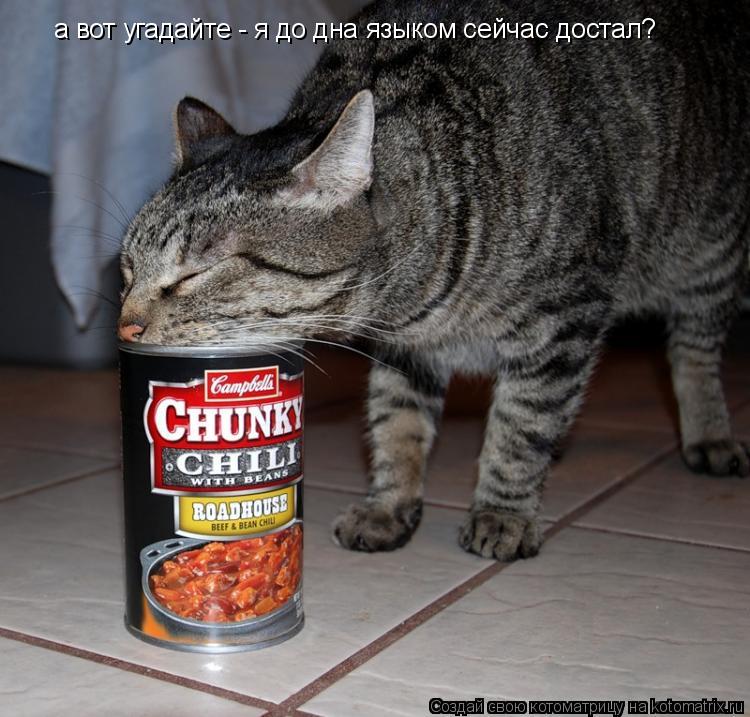 а вот угадайте - я до дна языком сейчас достал?... Котоматрица: а вот угадайте - я до дна языком сейчас достал?