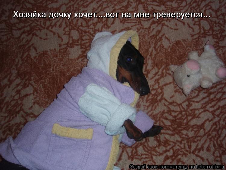Хозяйка дочку хочет....вот на мне тренеруется...... Котоматрица: Хозяйка дочку хочет....вот на мне тренеруется...
